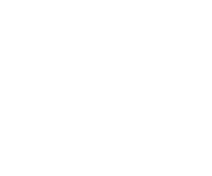Logo Meeresrausch white